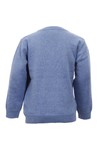 Gant Boys Blue Gant M.M. Boys Lightweight Cotton V Neck Jumper